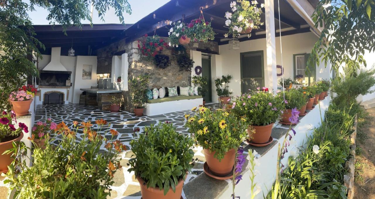 Ktima Dimitrios Villa Naxos City Dış mekan fotoğraf