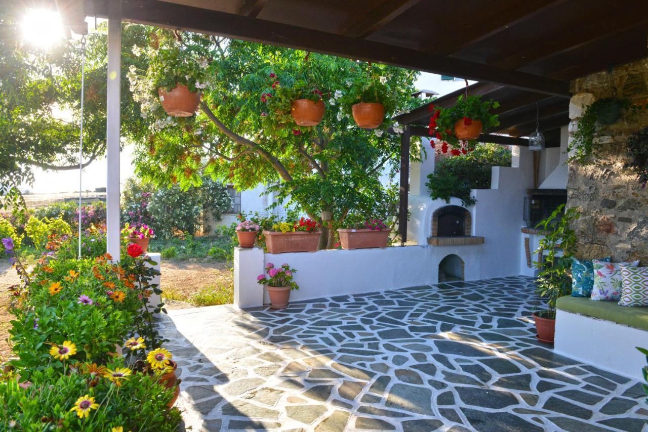 Ktima Dimitrios Villa Naxos City Dış mekan fotoğraf