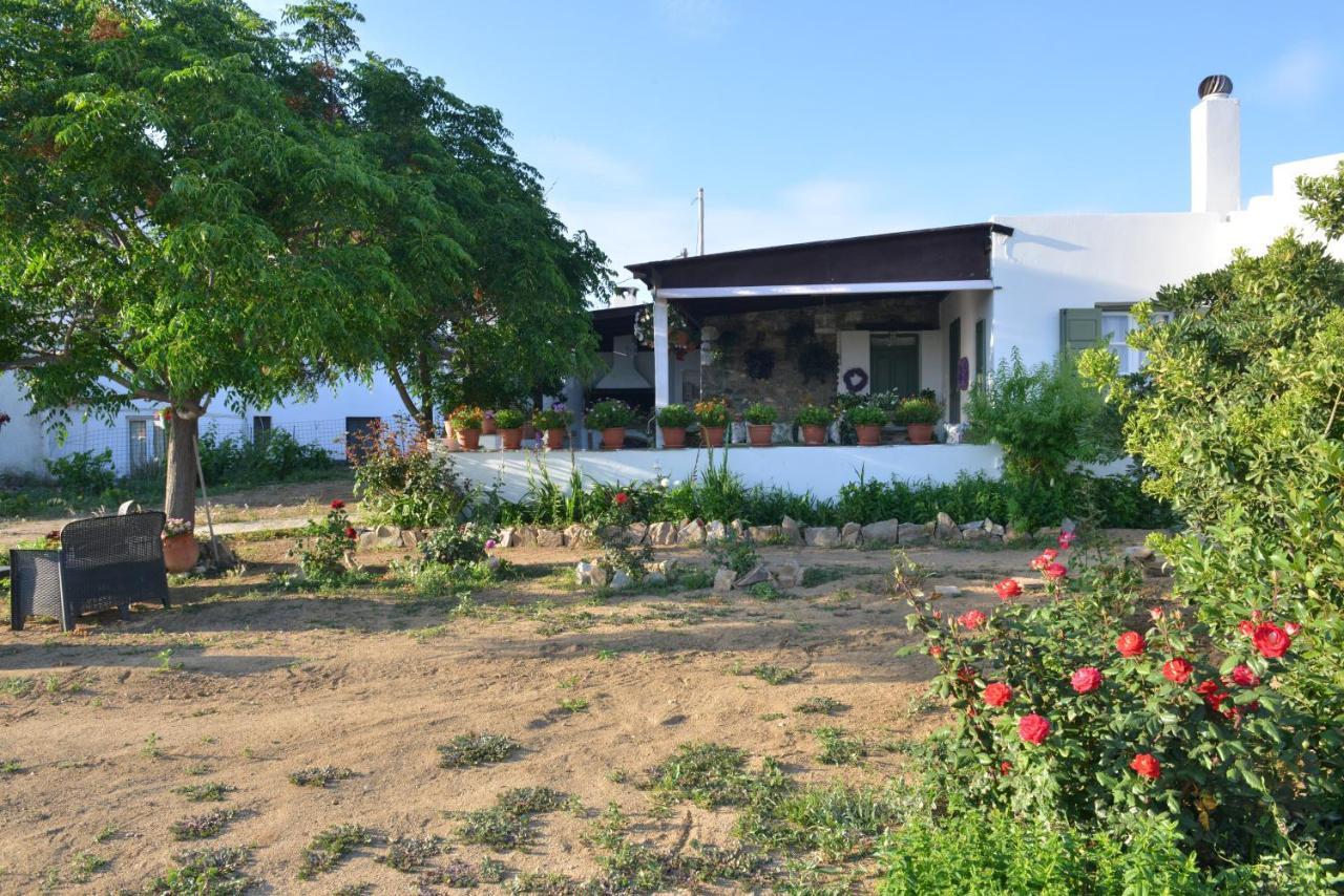 Ktima Dimitrios Villa Naxos City Dış mekan fotoğraf