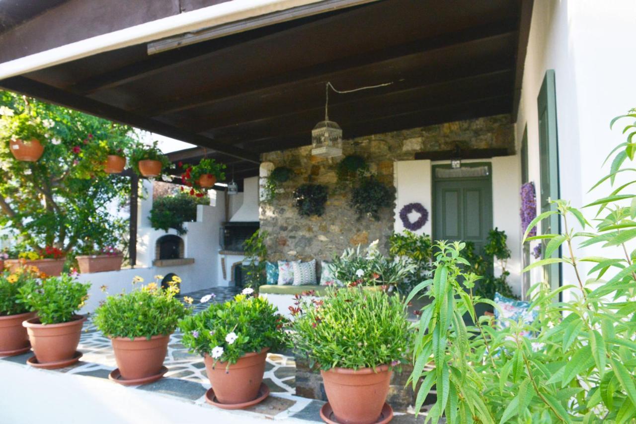Ktima Dimitrios Villa Naxos City Dış mekan fotoğraf