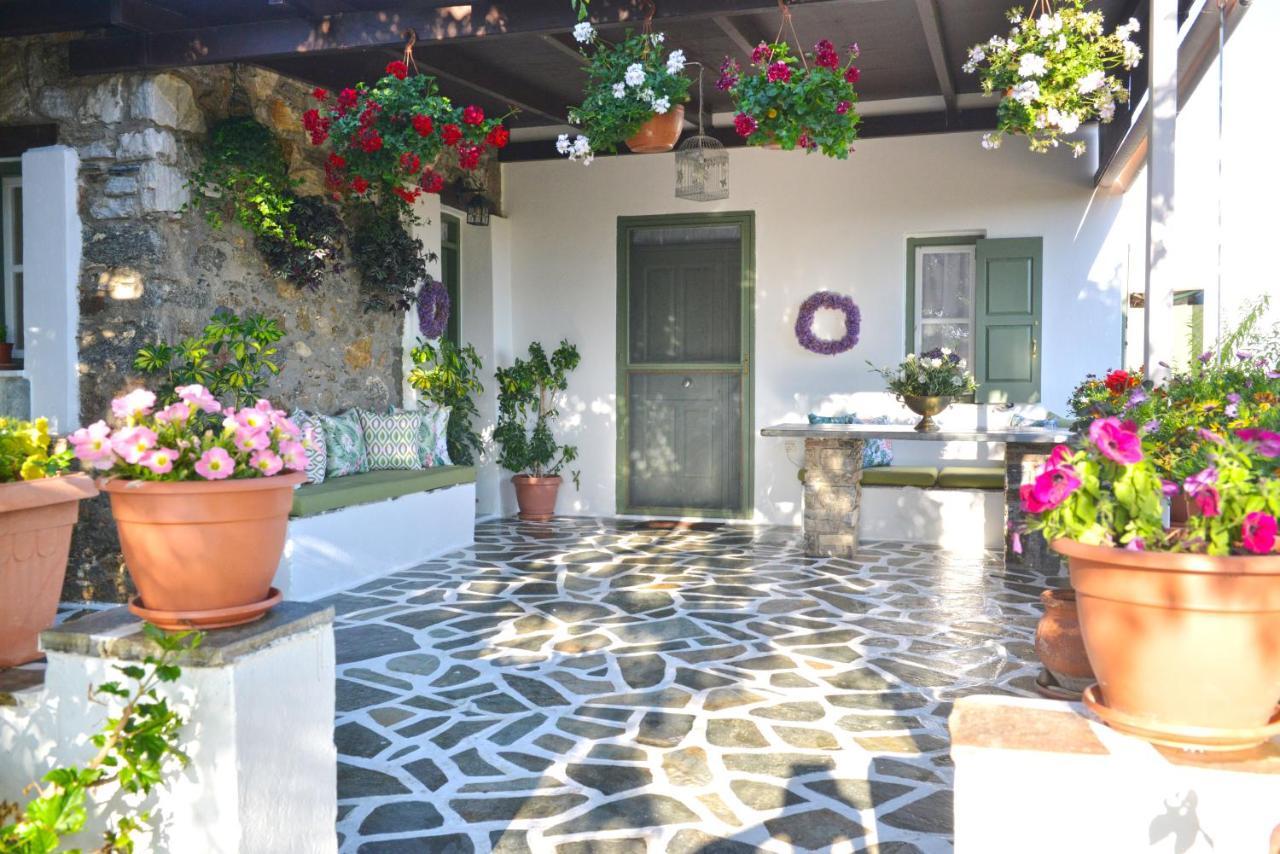 Ktima Dimitrios Villa Naxos City Dış mekan fotoğraf