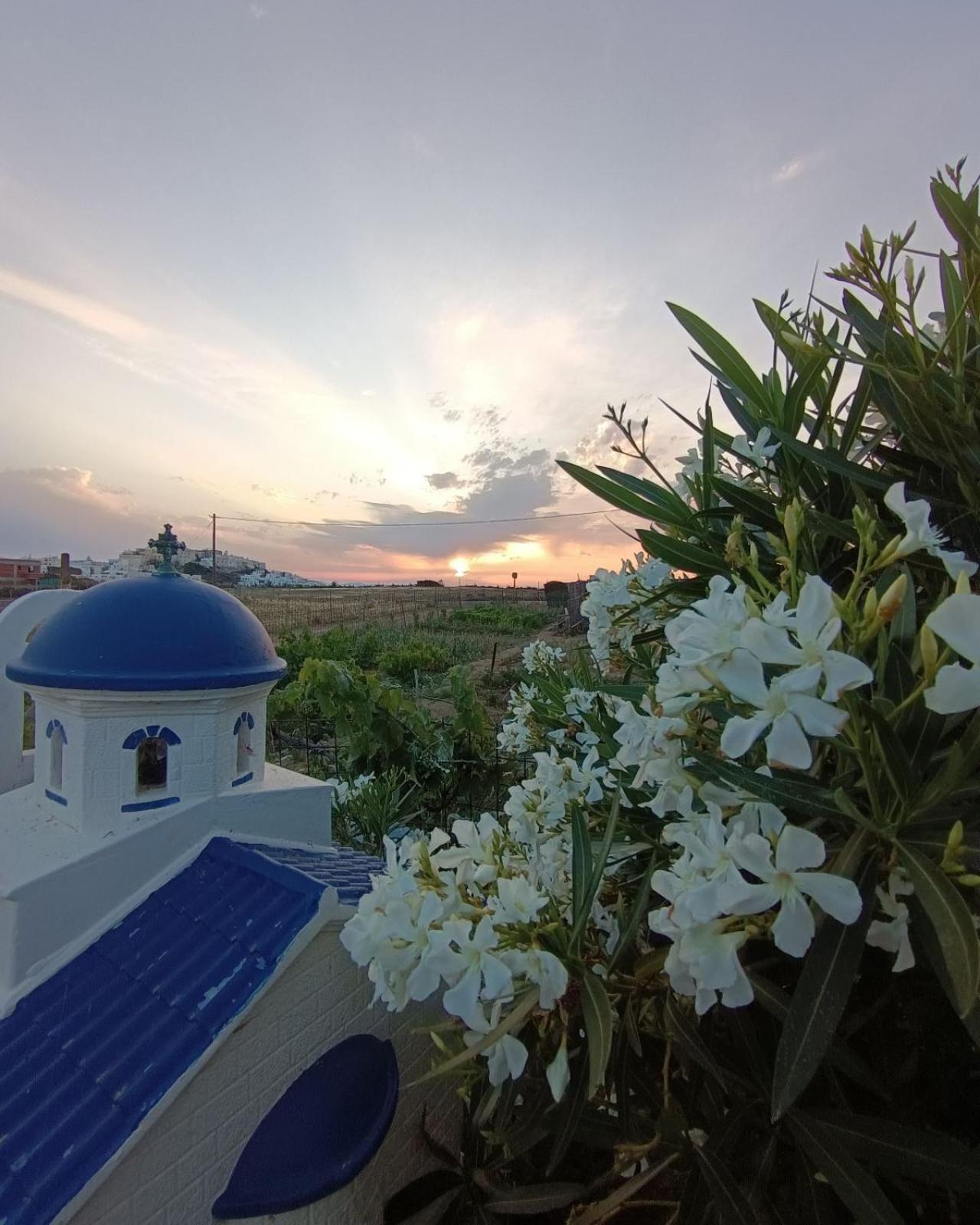 Ktima Dimitrios Villa Naxos City Dış mekan fotoğraf